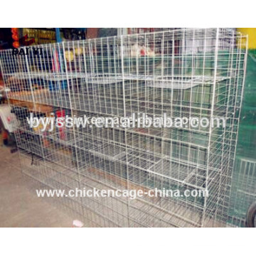 Design 5000 Birds Pigeon Layer Cage